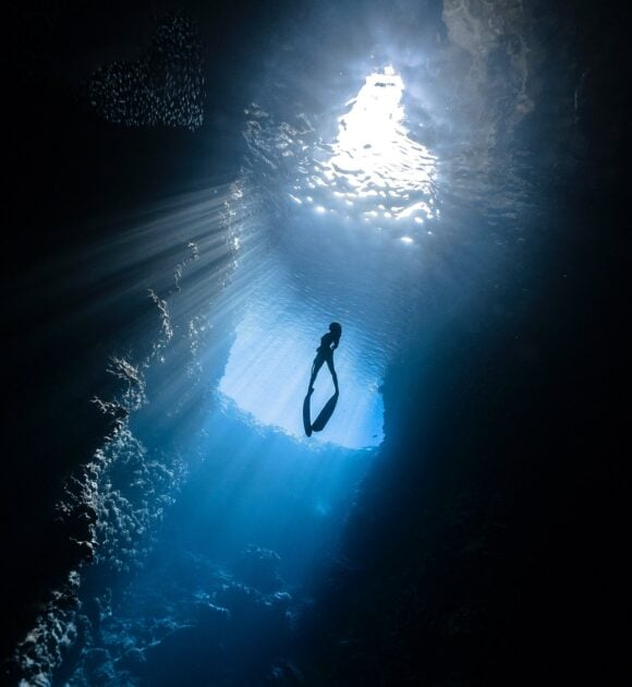 Sualtı Fotoğrafçılığı - YZ Uzman